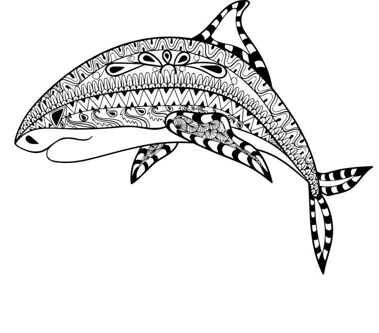 Coloriage Anti-Stress Requin À Imprimer Sur Coloriages concernant Dessin De Requin À Imprimer