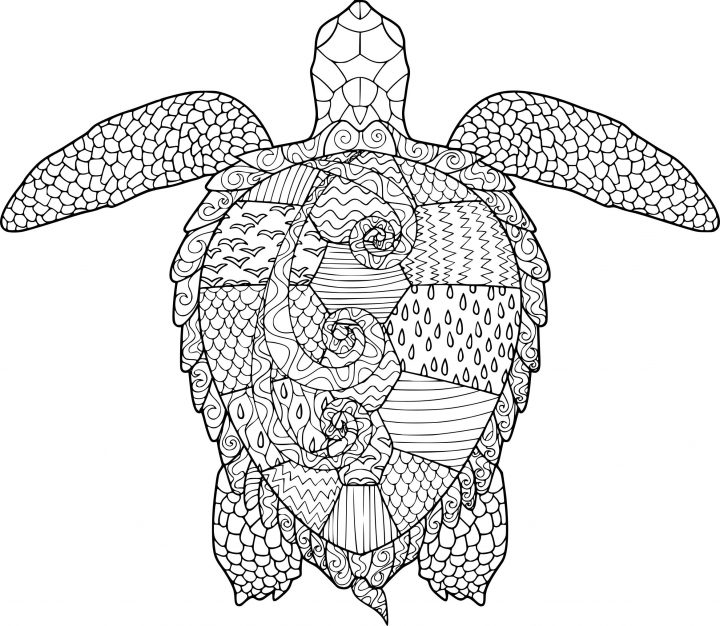 Coloriage Anti Stress Tortue Imprimer Sur Coloriages destiné Dessin Tortue À Imprimer