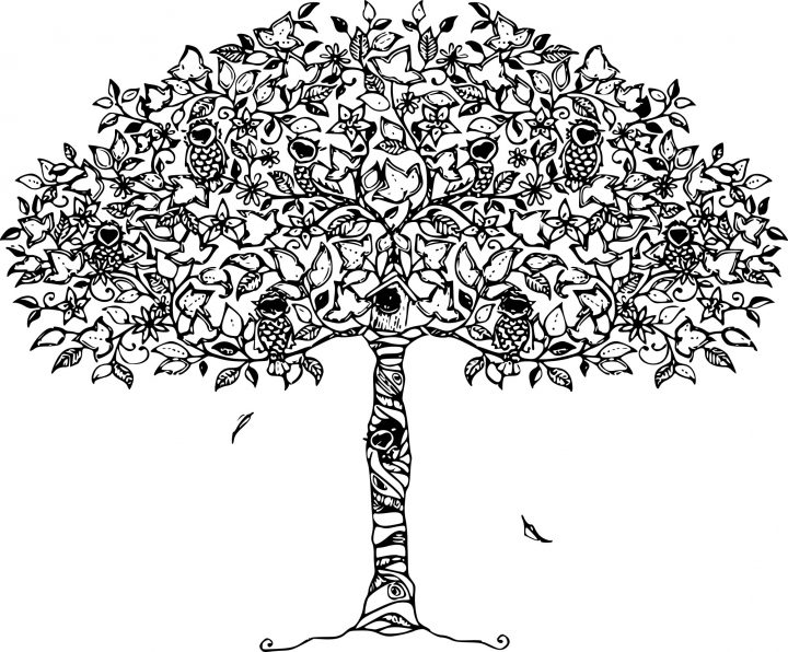 Coloriage Arbre Pour Adulte À Imprimer avec Dessin A Imprimer Pour Adulte