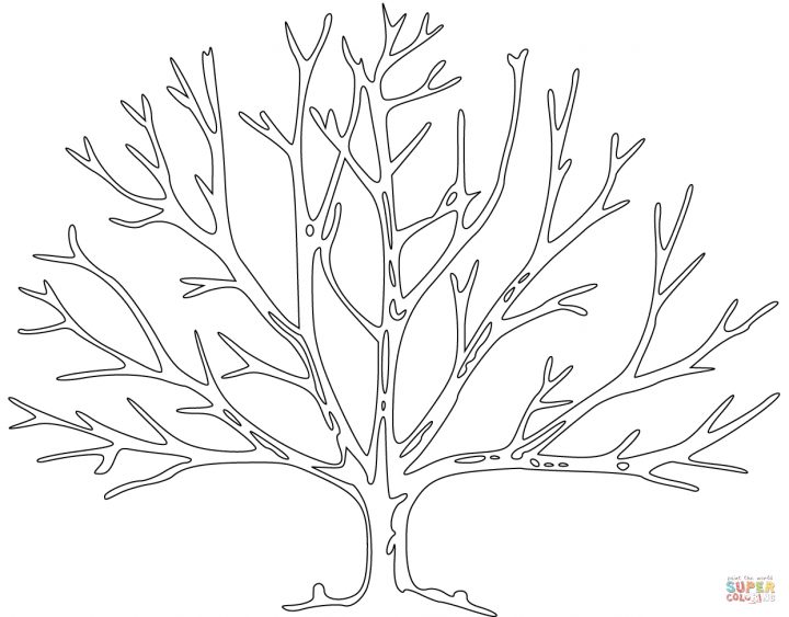 Coloriage – Arbre Sans Feuillage | Coloriages À Imprimer encequiconcerne Dessin De Feuille D Arbre À Imprimer