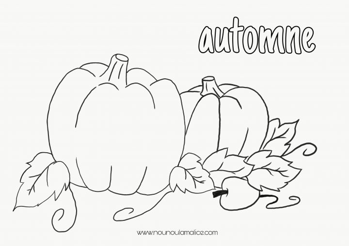 Coloriage Automne | Nounoulamalice concernant Arlequin A Colorier