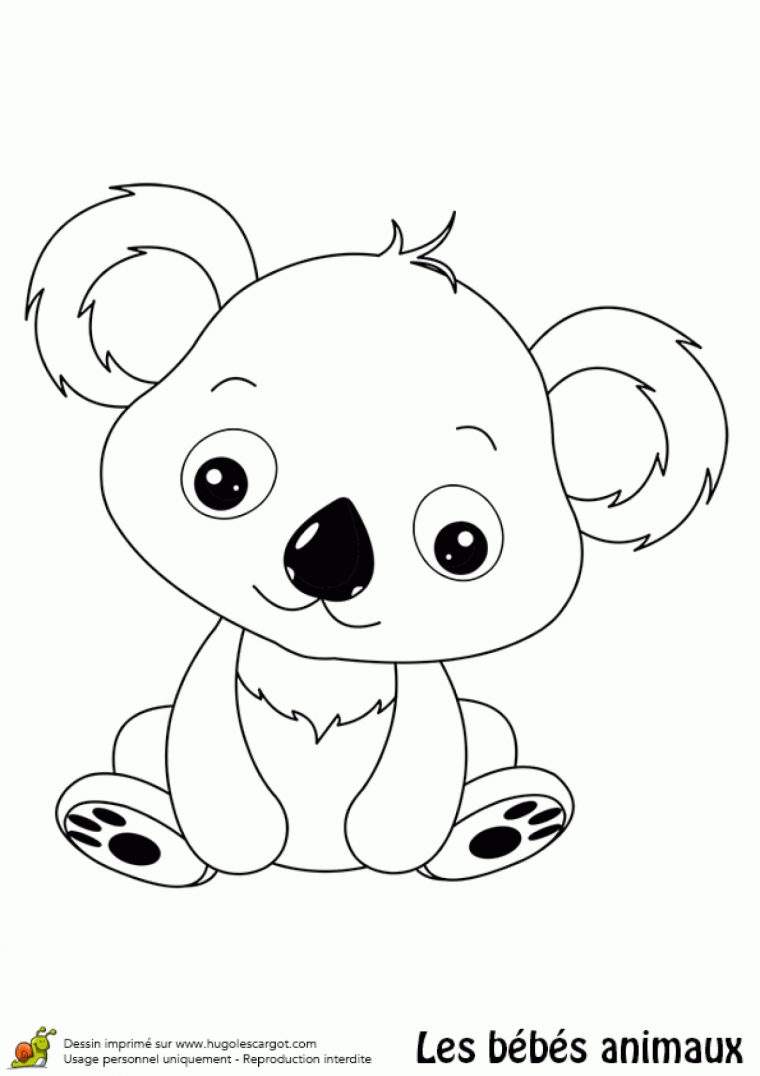 Coloriage Bébé Koala avec Modele De Dessin Gratuit