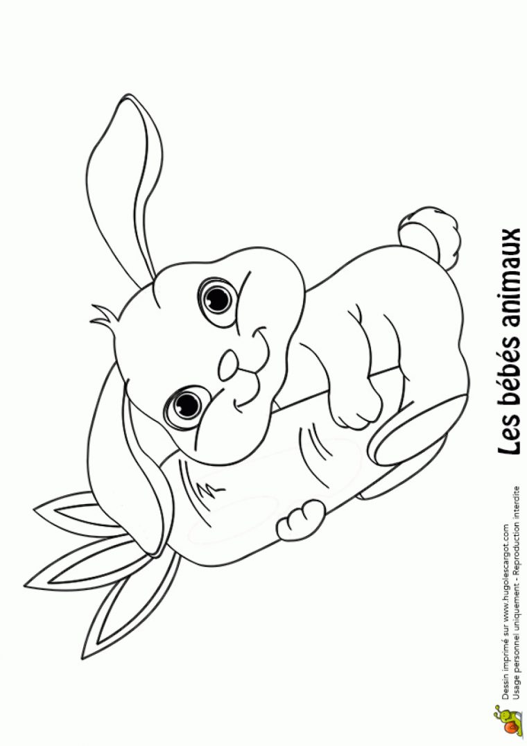 Coloriage Bébé Lapin serapportantà Dessin De Lapin A Imprimer