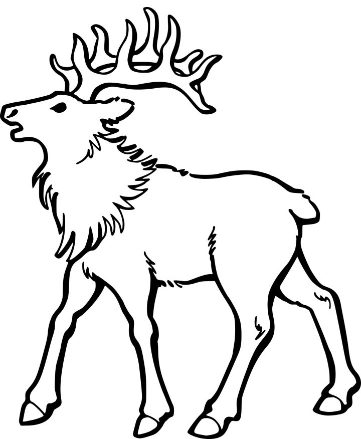 Coloriage Caribou Dessin À Imprimer Sur Coloriages intérieur Caribou Dessin