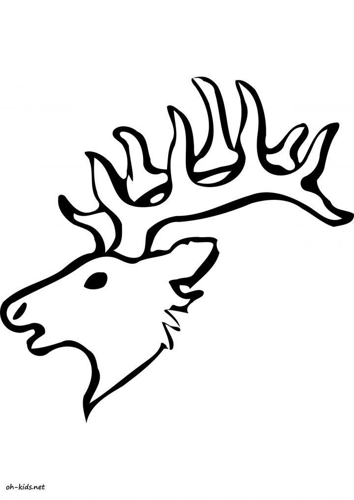 Coloriage Caribou – Oh Kids Fr serapportantà Caribou Dessin