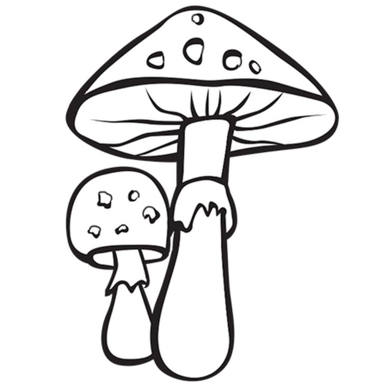 Coloriage Champignon Amanite Tue-Mouche En Ligne Gratuit À pour Dessiner Un Champignon