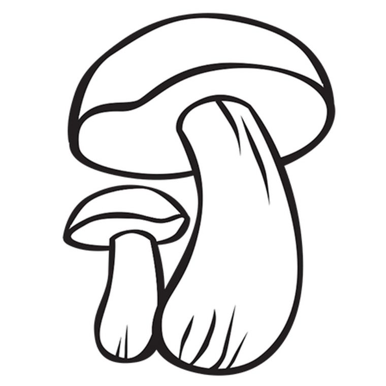 Coloriage Champignon Bolet Orangé En Ligne Gratuit À Imprimer dedans Dessiner Un Champignon