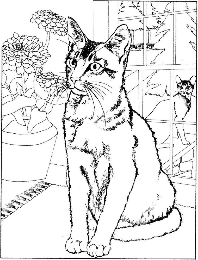 Coloriage Chat Gratuit A Imprimer – 1001 Animaux concernant Image A Colorier Gratuit A Imprimer