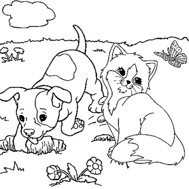 Coloriage Chaton Et Chiot En Ligne Gratuit À Imprimer tout Coloriage De Chiot A Imprimer