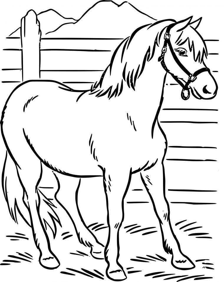 Coloriage Cheval À Imprimer à Dessin De Cheval A Colorier