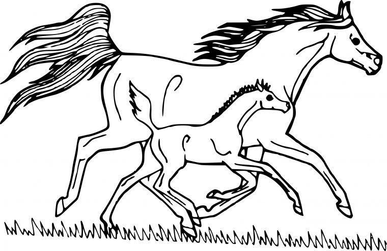 Coloriage Cheval Au Galop À Imprimer Sur Coloriages encequiconcerne Dessin De Cheval A Colorier