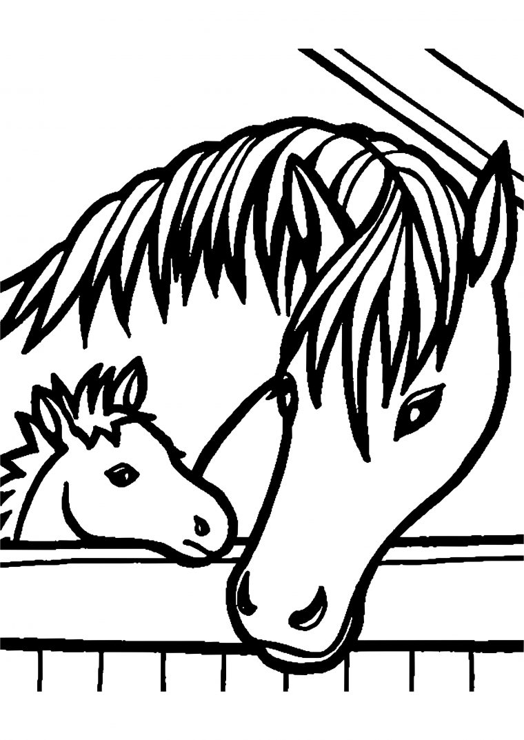 Coloriage Cheval Hugo L Escargot Superbe Idées Animaux encequiconcerne Dessin De Cheval A Colorier