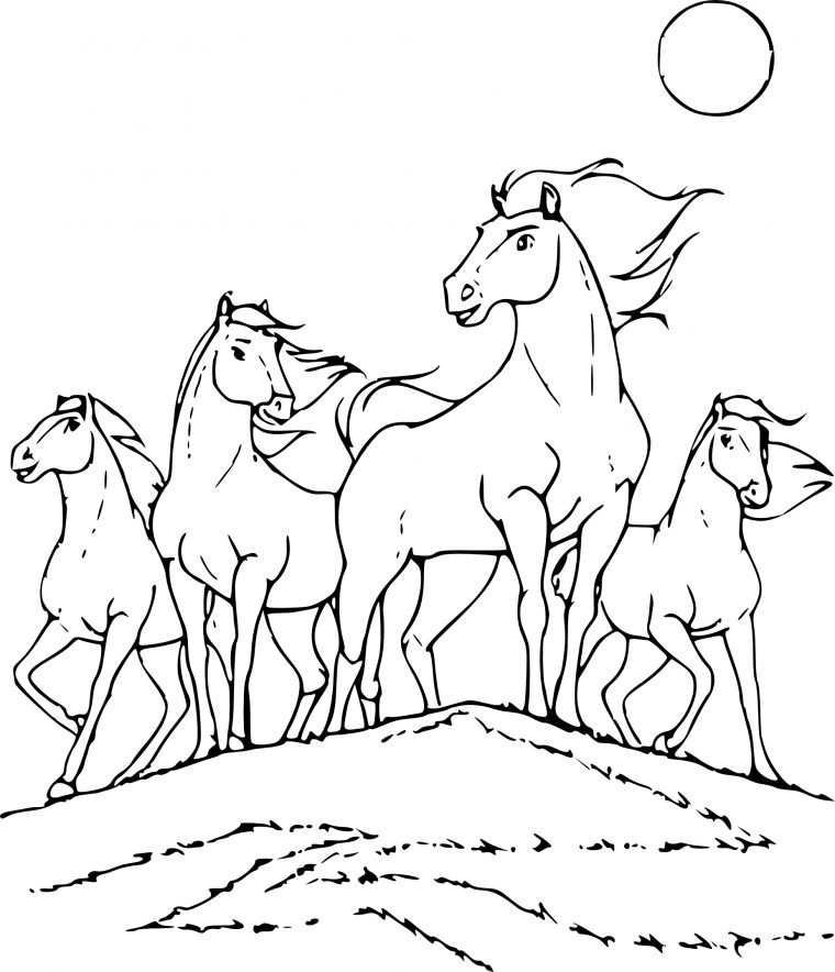 Coloriage Cheval Sauvage À Imprimer encequiconcerne Image De Cheval A Colorier