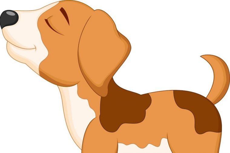 Coloriage Chien À Imprimer Sur Hugolescargot concernant Jeux De Ferme Gratuit Avec Des Animaux