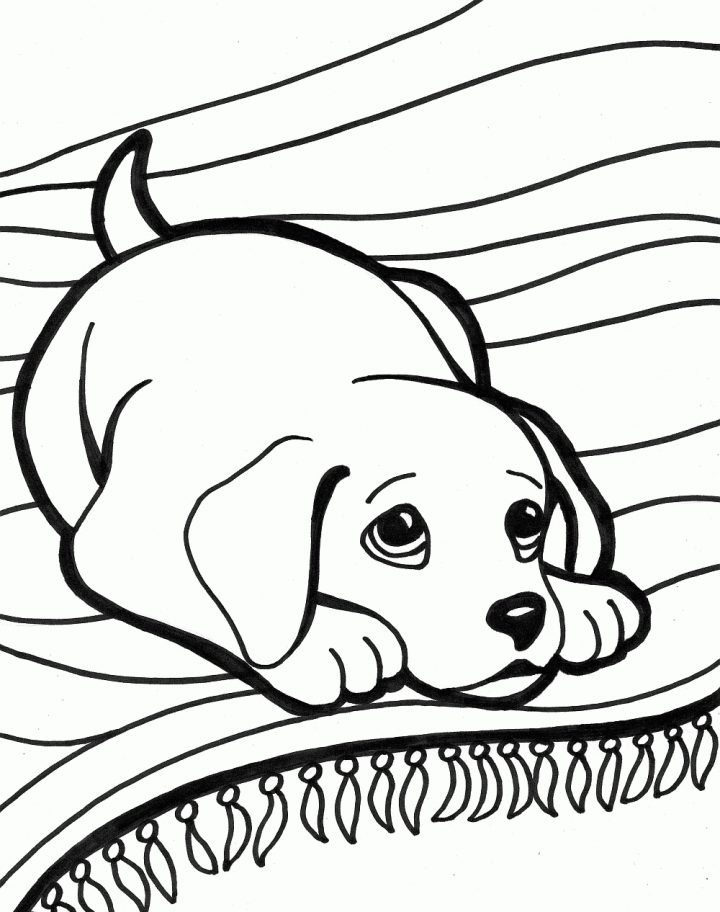 Coloriage | Chien Coloriage intérieur Coloriage De Chiot A Imprimer