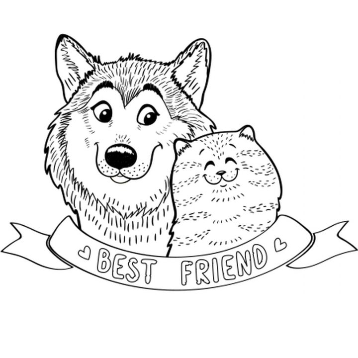 Coloriage Chien Et Chat En Ligne Gratuit À Imprimer intérieur Coloriage De Chiot A Imprimer