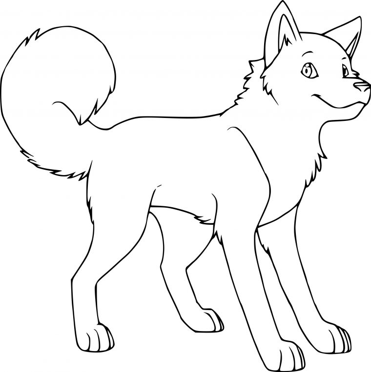 Coloriage Chien Husky À Imprimer Et Colorier dedans Animaux A Dessiner Imprimer