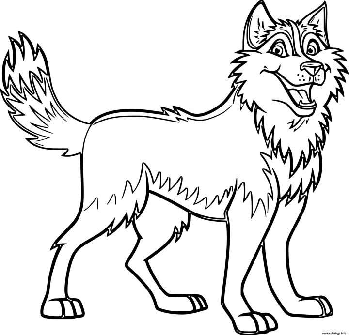 Coloriage Chien Husky Avec De Beaux Traits Dessin avec Coloriage De Chiot A Imprimer