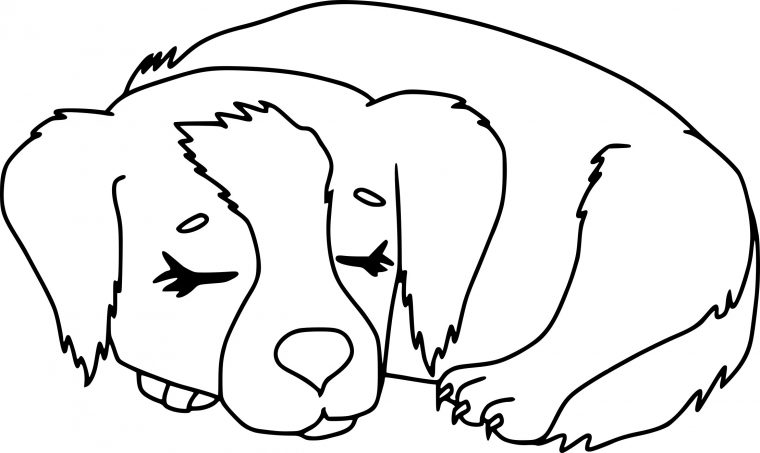 Coloriage Chien Qui Dort À Imprimer tout Animaux A Dessiner Imprimer