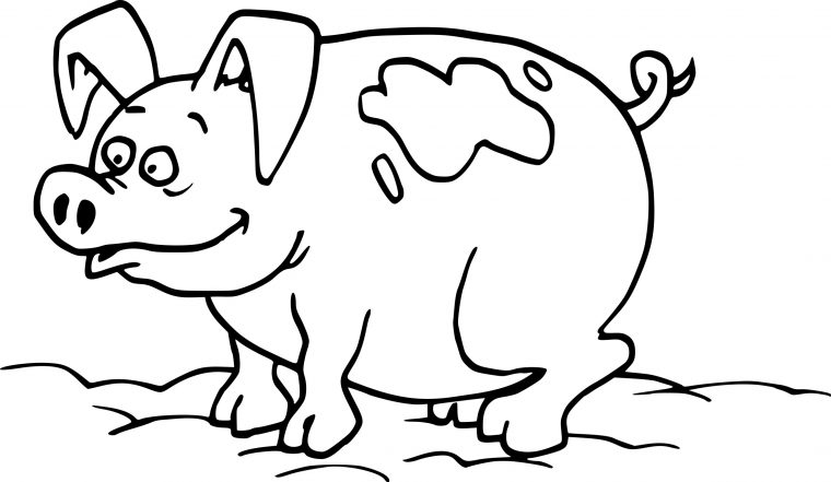 Coloriage Cochon Boue À Imprimer Sur Coloriages intérieur Dessin A Colorier Cochon