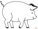 Coloriage - Cochon | Coloriages À Imprimer Gratuits intérieur Dessin A Colorier Cochon