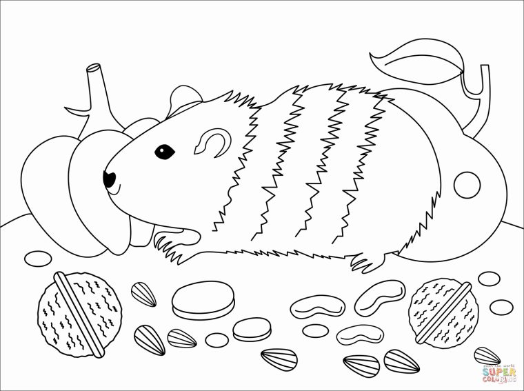 Coloriage – Cochon D'inde | Coloriages À Imprimer Gratuits concernant Dessin A Colorier Cochon