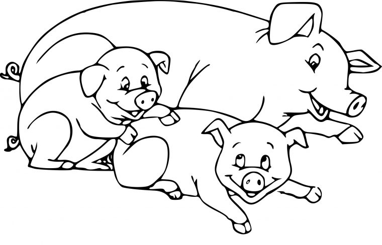 Coloriage Cochon La Ferme À Imprimer Sur Coloriages avec Dessin A Colorier Cochon