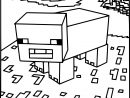 Coloriage Cochon Minecraft À Imprimer concernant Dessin A Colorier Cochon