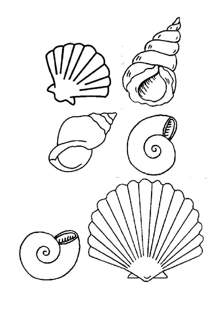 Coloriage Coquillage De Mer À Colorier – Dessin À Imprimer avec Coloriage Sur La Mer À Imprimer