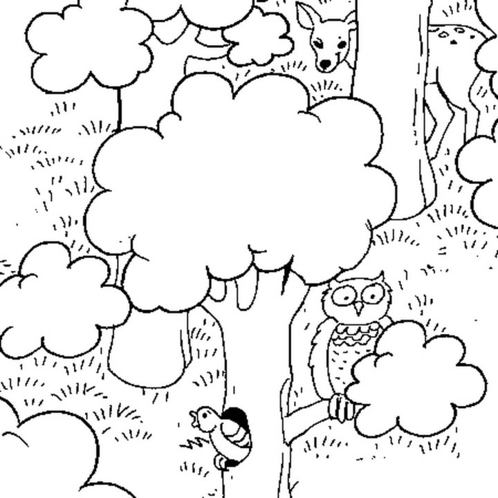 Coloriage Dans La Forêt En Ligne Gratuit À Imprimer serapportantà Dessin De Foret