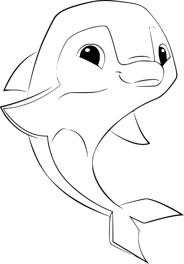 Coloriage Dauphin Animal Jam À Imprimer pour Coloriage A Imprimer De Dauphin