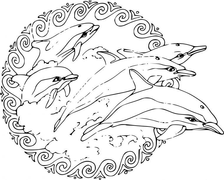 Coloriage Dauphin Mandala À Imprimer Sur Coloriages à Dessin Dauphin À Imprimer