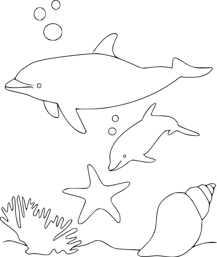 Coloriage Dauphins dedans Dessin Dauphin À Imprimer