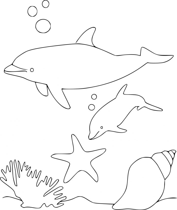 Coloriage Dauphins encequiconcerne Dessin De Dauphin À Colorier