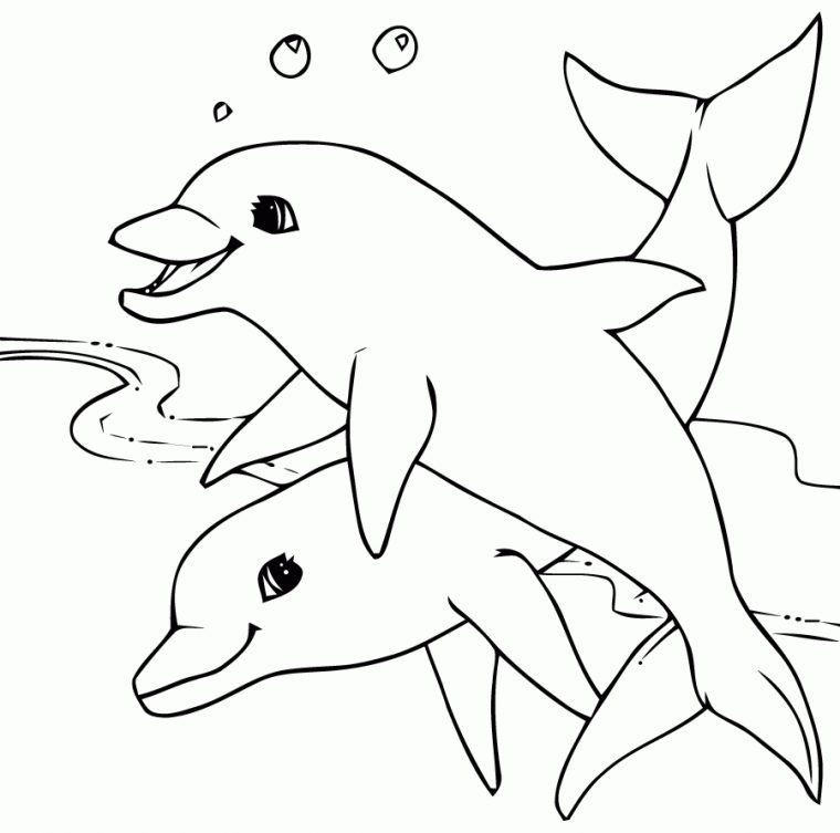 Coloriage Dauphins Heureux À Imprimer Sur Coloriages concernant Coloriage A Imprimer De Dauphin