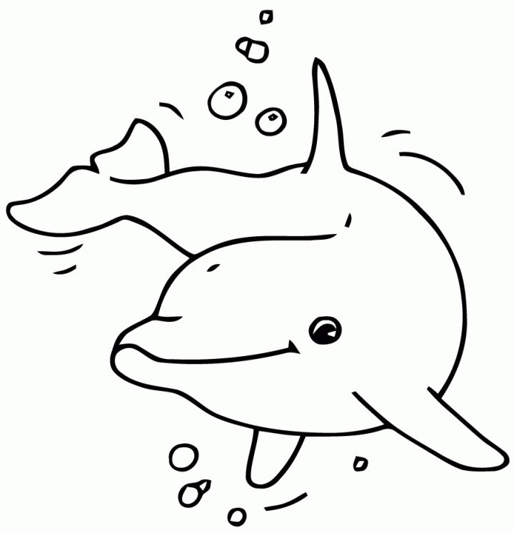 Coloriage Dauphins – Les Beaux Dessins De Nature À Imprimer encequiconcerne Dessin De Dauphin À Colorier