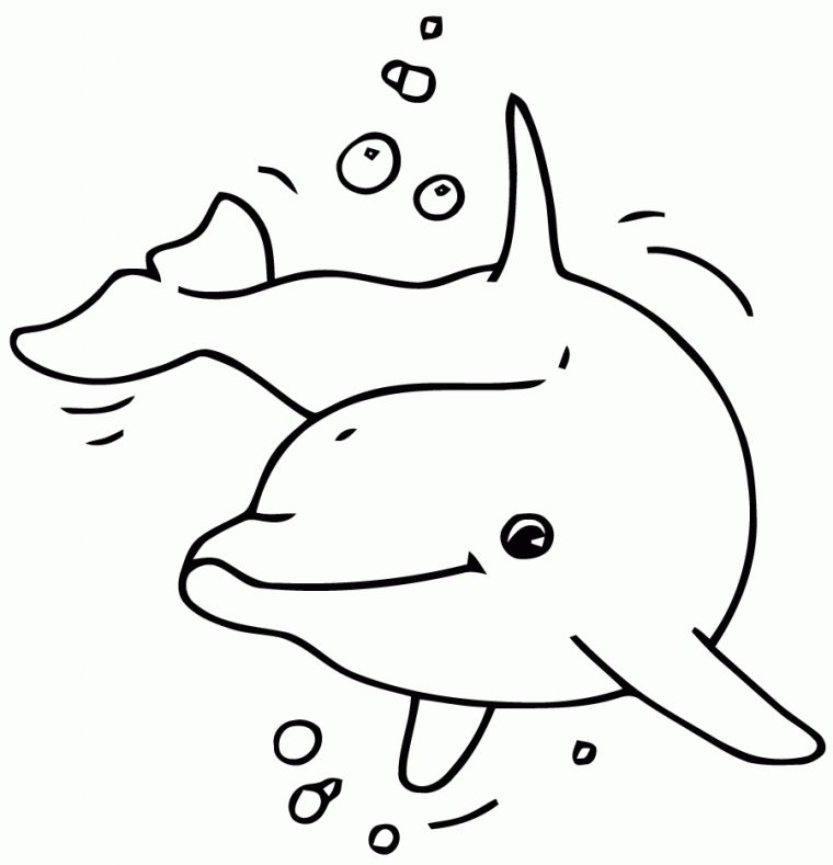 Coloriage Dauphins – Les Beaux Dessins De Nature À Imprimer serapportantà Dessin Dauphin A Imprimer