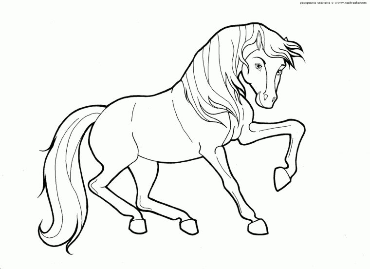 Coloriage De Cheval | Coloriage De Cheval Au Galop encequiconcerne Dessin De Cheval A Colorier