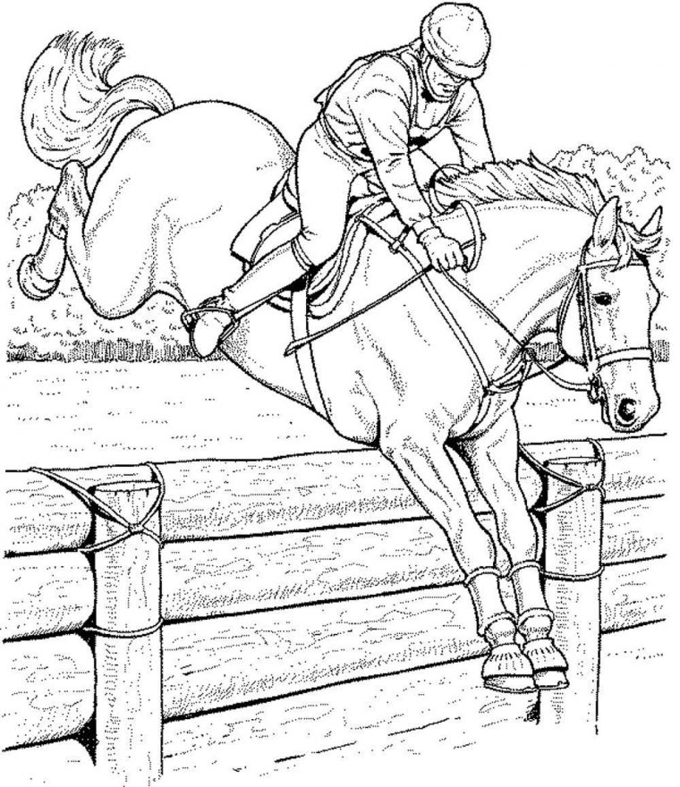 Coloriage De Cheval Qui Saute | Coloriage Cheval, Coloriage destiné Dessin De Cheval A Colorier