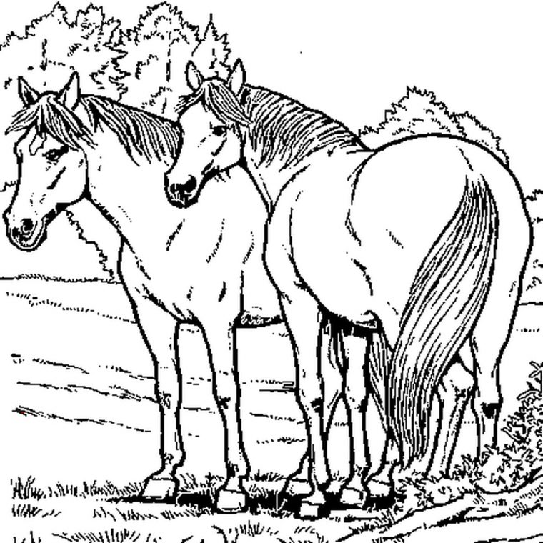 Coloriage De Chevaux En Ligne Gratuit À Imprimer serapportantà Dessin De Cheval A Colorier