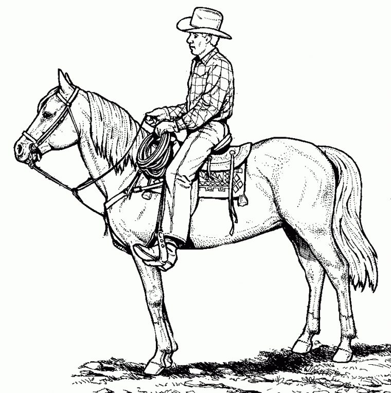 Coloriage De Chevaux Western – 1001 Animaux avec Dessin De Cheval A Colorier