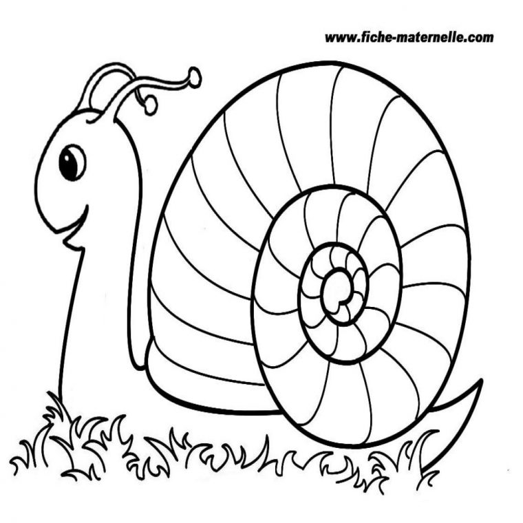 Coloriage De Dessins Gratuits À Imprimer Pour Les Enfants De pour Coloriage Magique 4 Ans