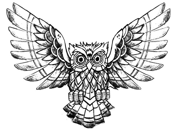 Coloriage De Hiboux – Coloriages Pour Enfants intérieur Dessin Hibou Facile