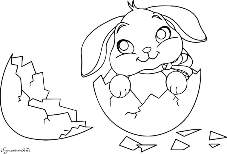 Coloriage De Lapin . 14 Nice Coloriage De Lapin Images pour Dessin De Lapin A Imprimer