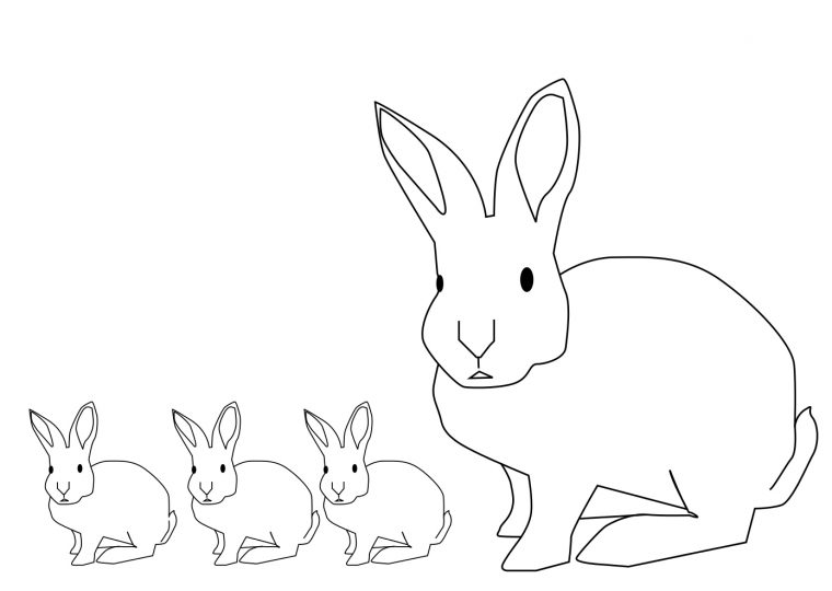 Coloriage De Lapins À Imprimer Et Colorier Gratuit à Dessin De Lapin A Imprimer