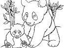 Coloriage De Panda À Imprimer Pour Enfants - Coloriage De à Panda À Colorier