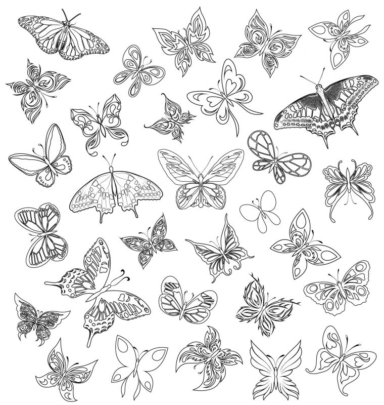 Coloriage De Papillon avec Dessin Papillon À Colorier