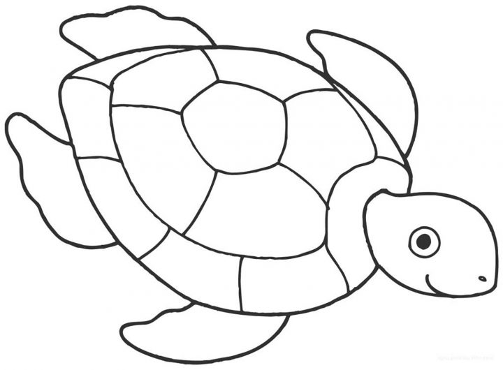 Coloriage De Tortue À Imprimer – Coloriage De Tortues dedans Dessin Tortue À Imprimer