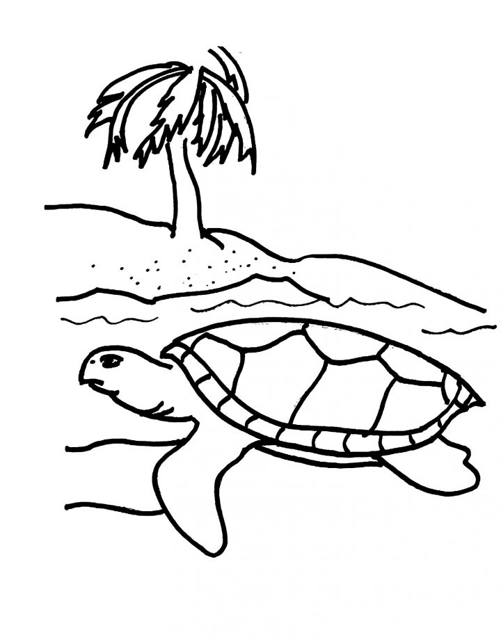 Coloriage De Tortue À Imprimer Gratuitement – Coloriage De pour Dessin Tortue À Imprimer