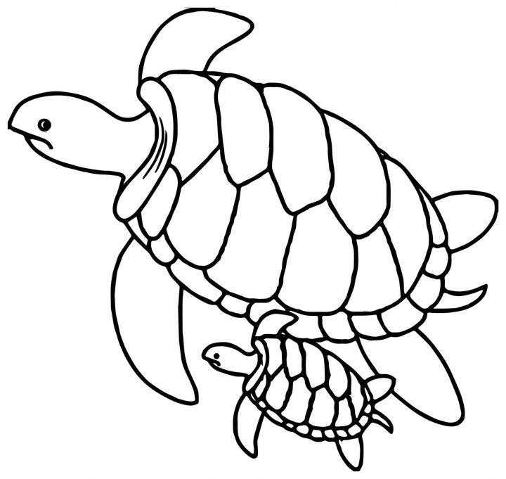 Coloriage De Tortue À Telecharger Gratuitement – Coloriage concernant Dessiner Une Tortue